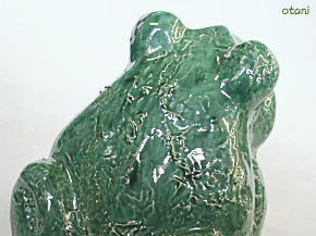 蛙の背中もでこぼこしている