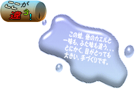 ここが違う(眼がとても大きい手作り福蛙です)