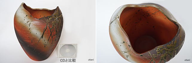 睡蓮鉢全形と口縁部分
