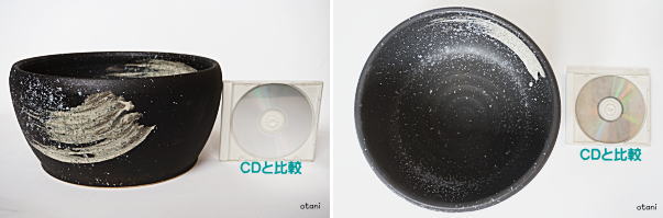 メダカ睡蓮鉢とCD比較