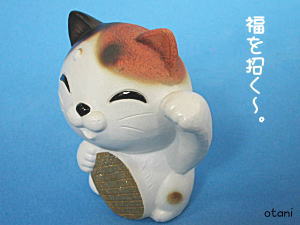 猫さんを横から見たところ
