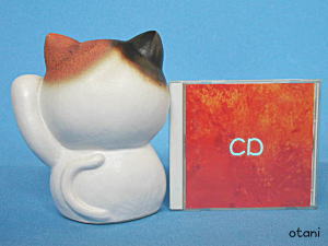 後ろから見たところ(CDと比較)