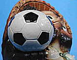 サッカー狸