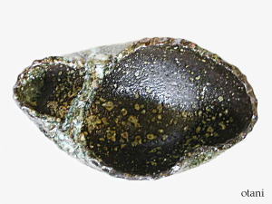 水盤(花器)を上から見たところ