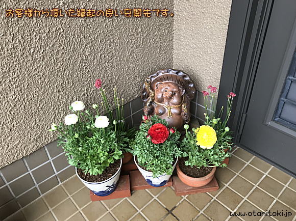 お客様に頂いた玄関先の手作り13号福ひねり狸写真です