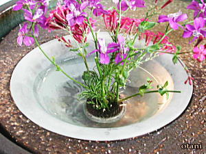草花を挿したところ